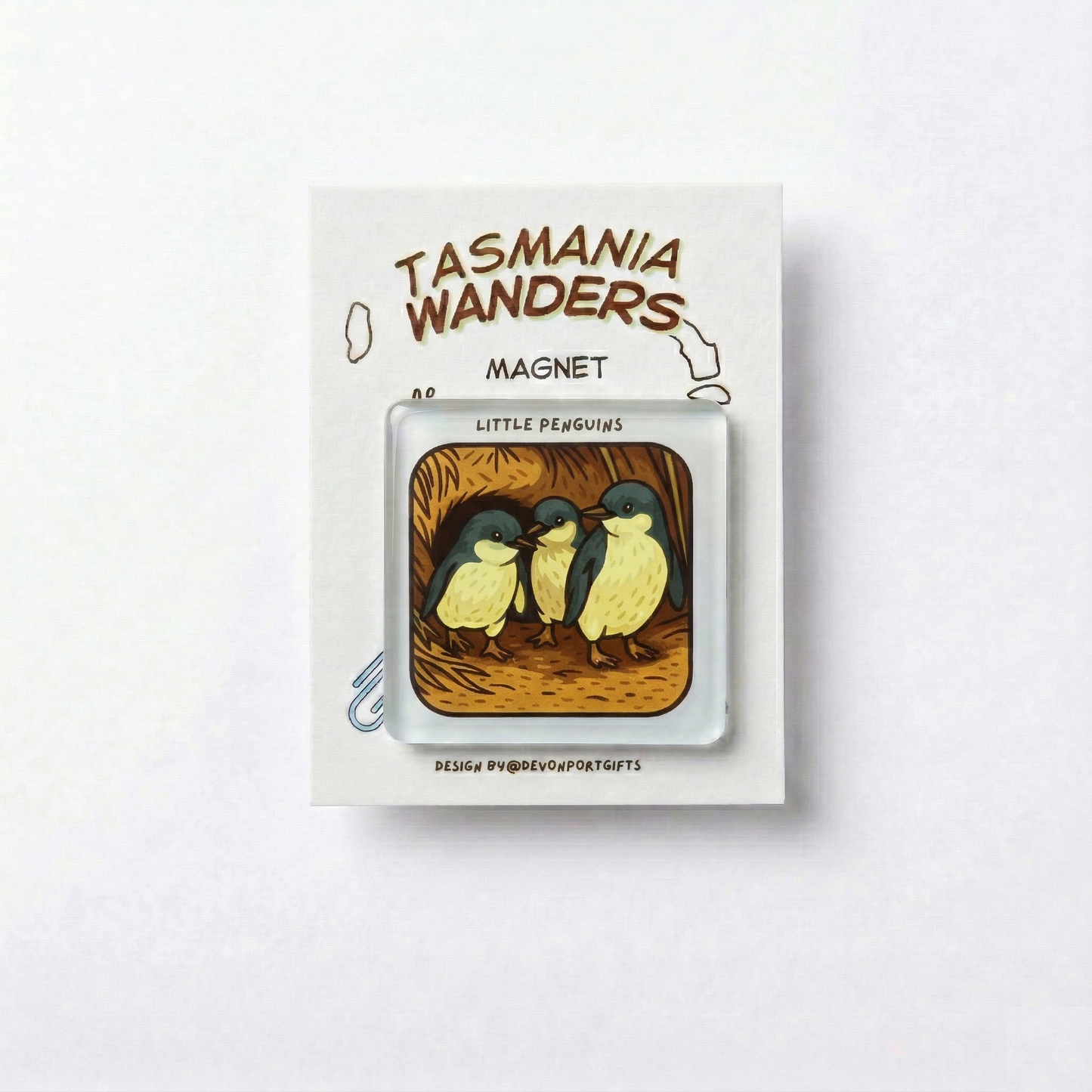 Little Penguin - Tasmania Wanders Magnets