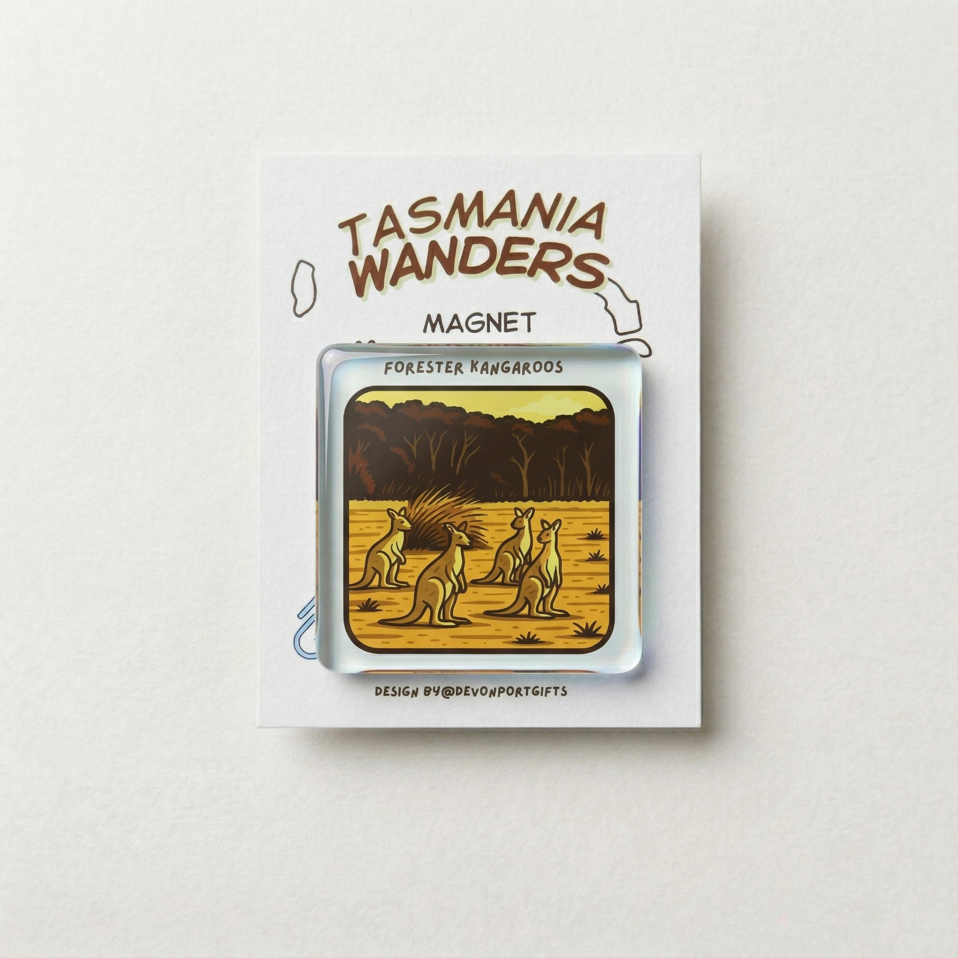 Forester kangaroos - Tasmania Wanders Magnets