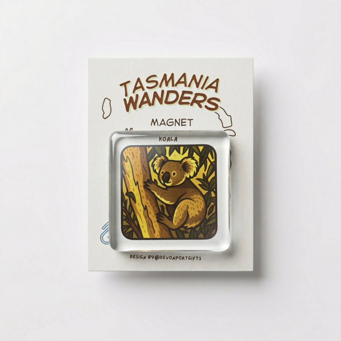 koala - Tasmania Wanders Magnets