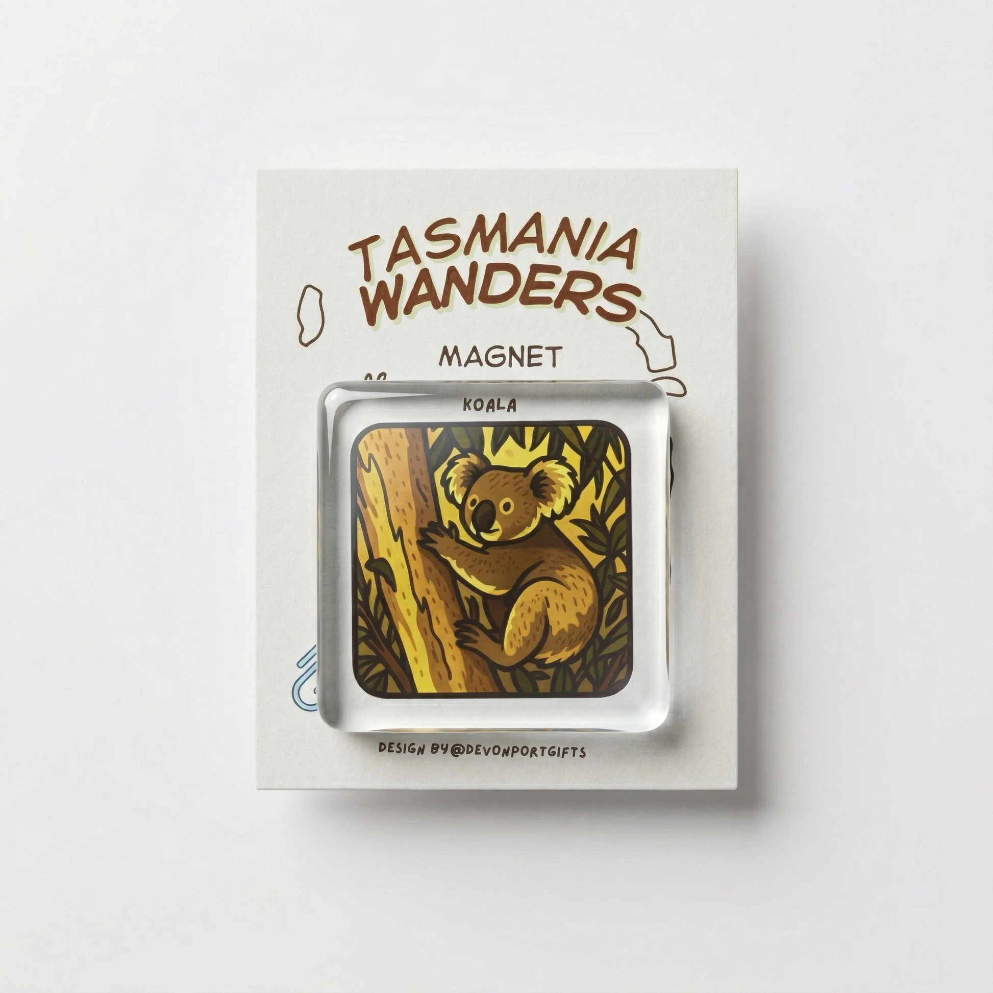 koala - Tasmania Wanders Magnets