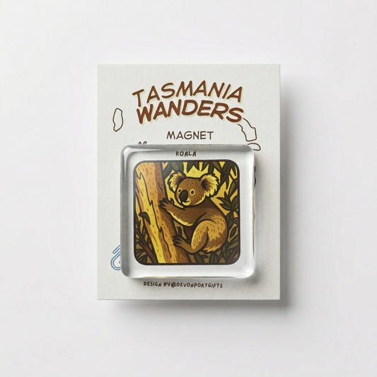 koala - Tasmania Wanders Magnets