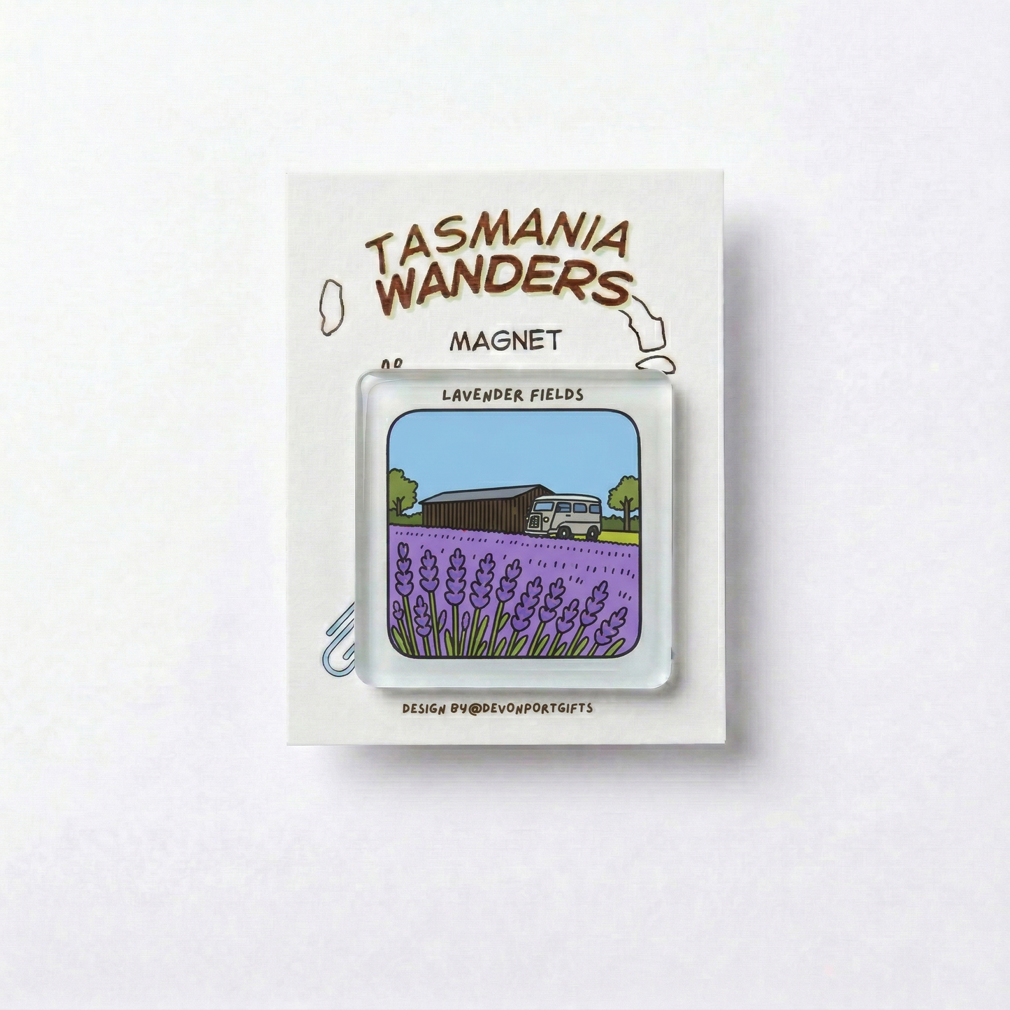 Lavender fields - Tasmania Wanders Magnets
