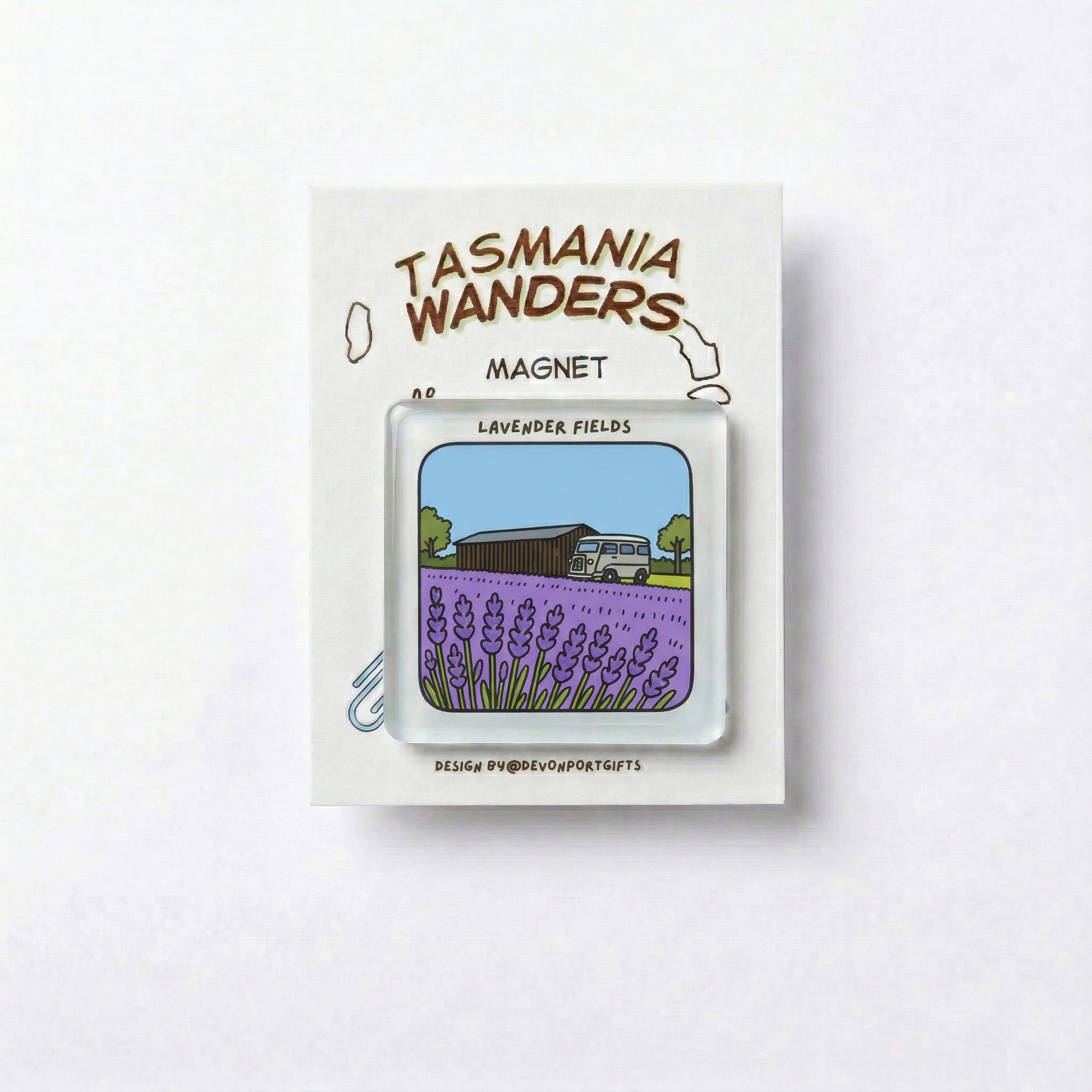 Lavender fields - Tasmania Wanders Magnets