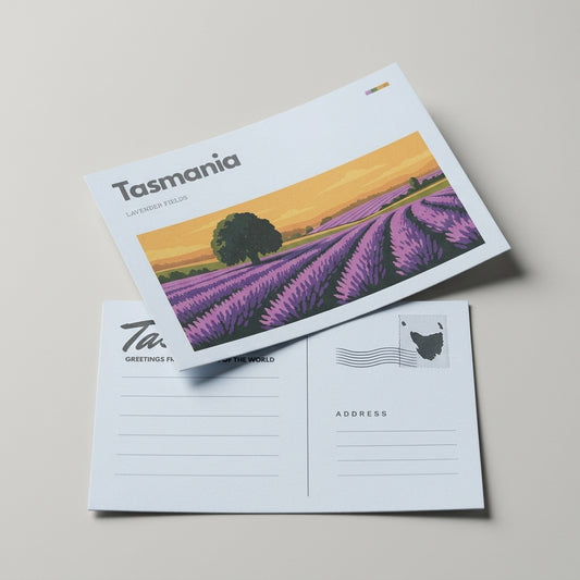 Lavender Fields