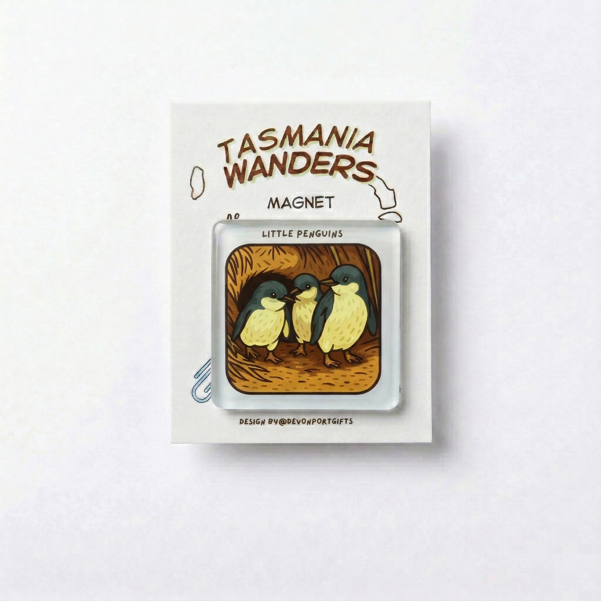 Little Penguin - Tasmania Wanders Magnets